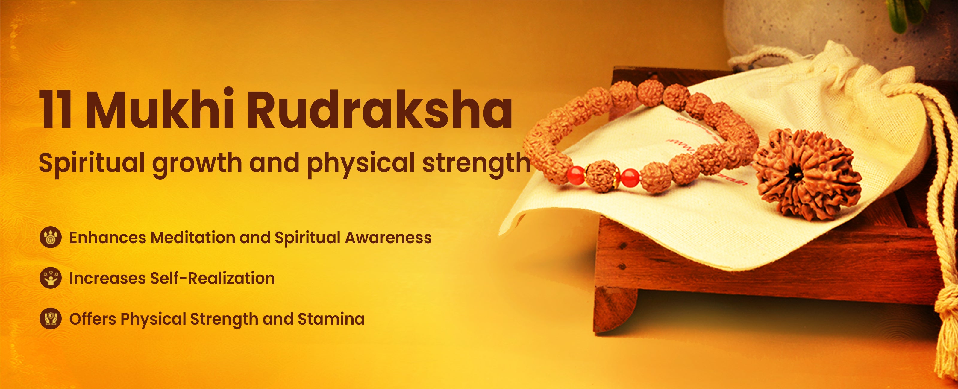 11 Mukhi Rudraksha Collection