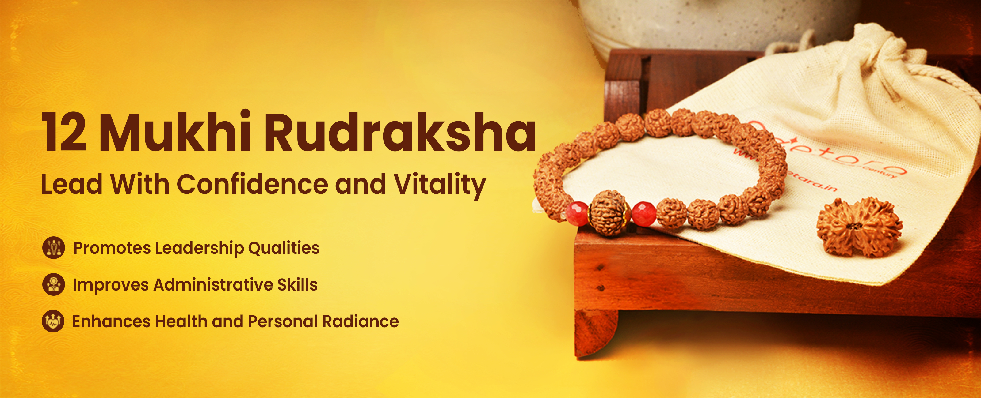 12 Mukhi Rudraksha Collection