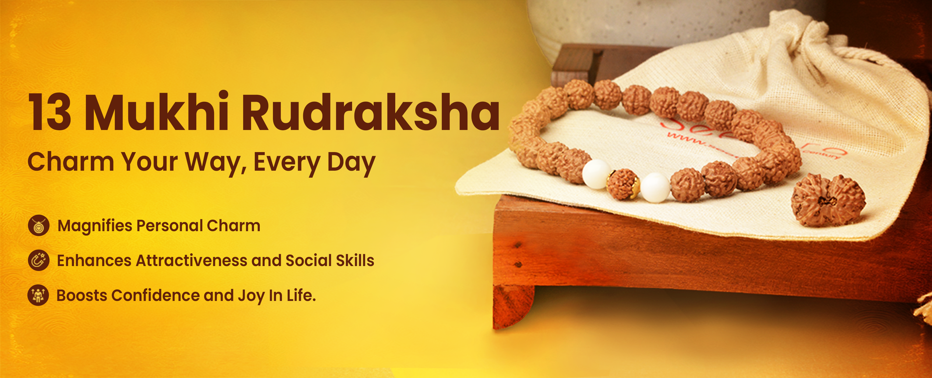 13 Mukhi Rudraksha Collection