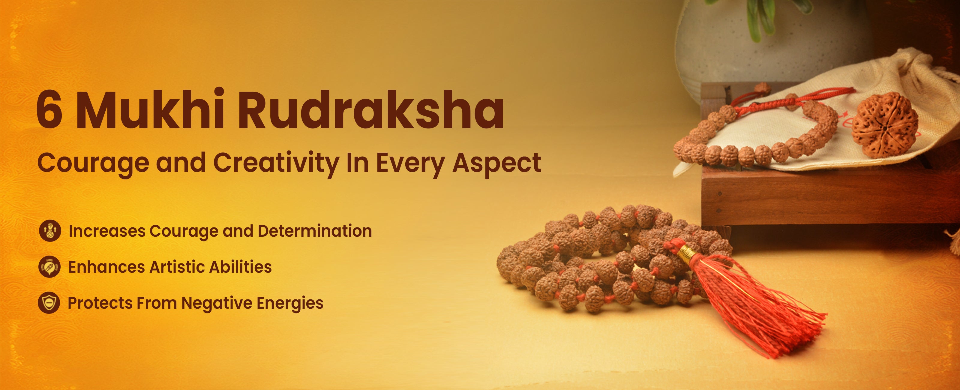 6 Mukhi Rudraksha Collection