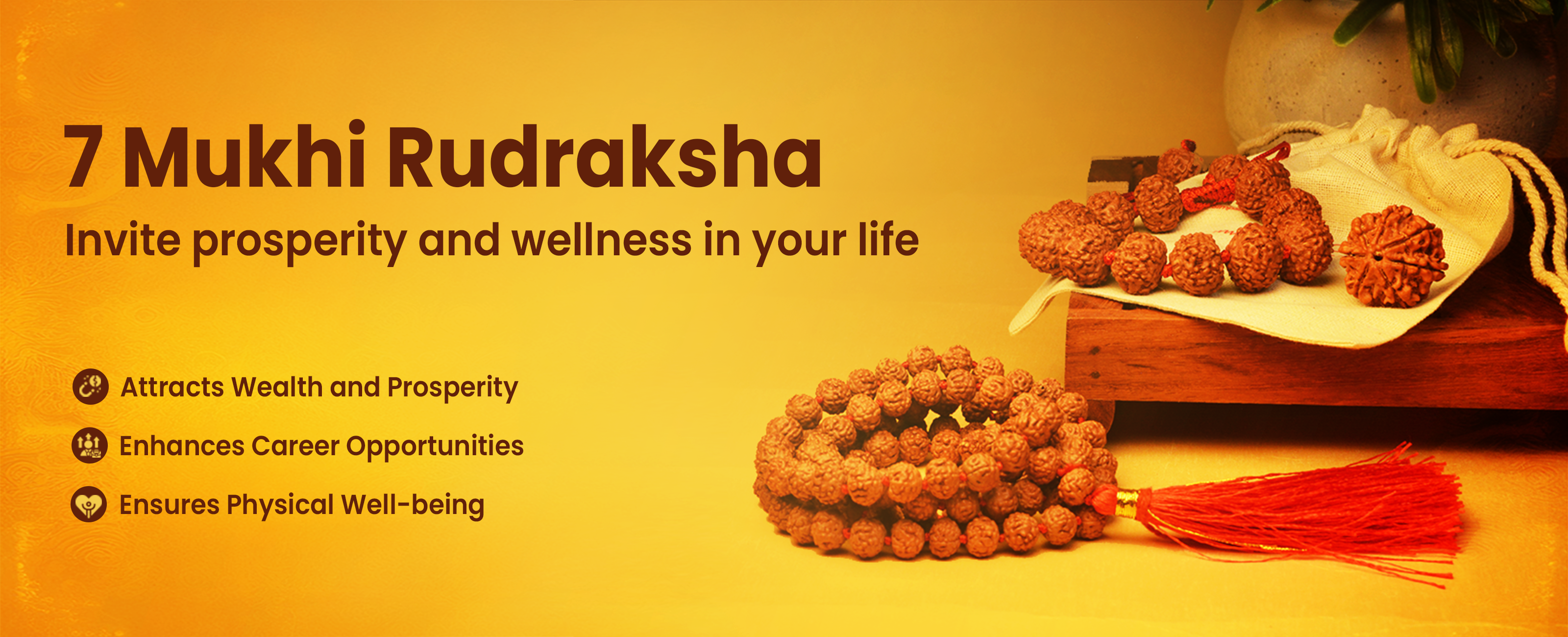 7 Mukhi Rudraksha Collection