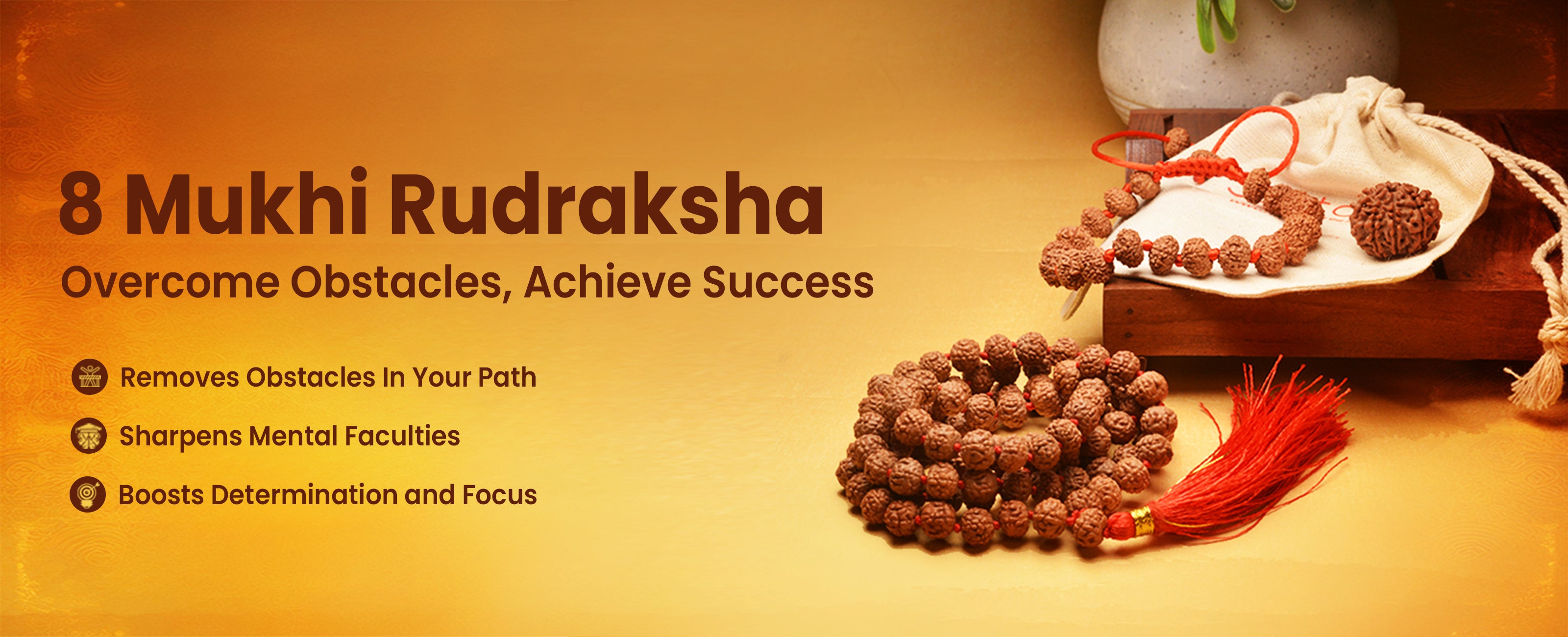 8 Mukhi Rudraksha Collection