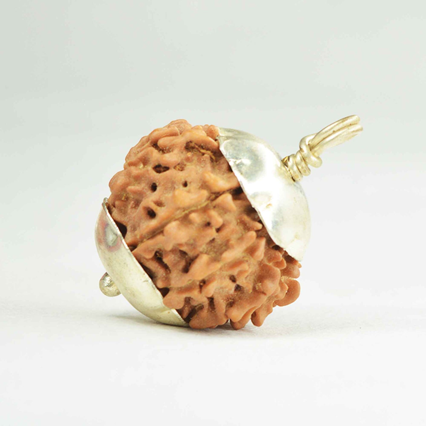 11 Mukhi Rudraksha Dana (Nepali)