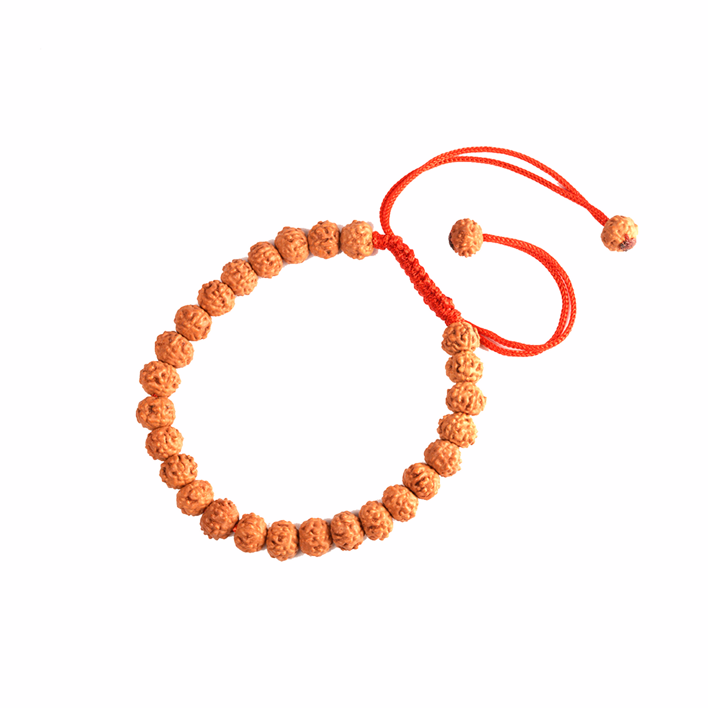 6 Mukhi Rudraksha Bracelet (Indonesian)