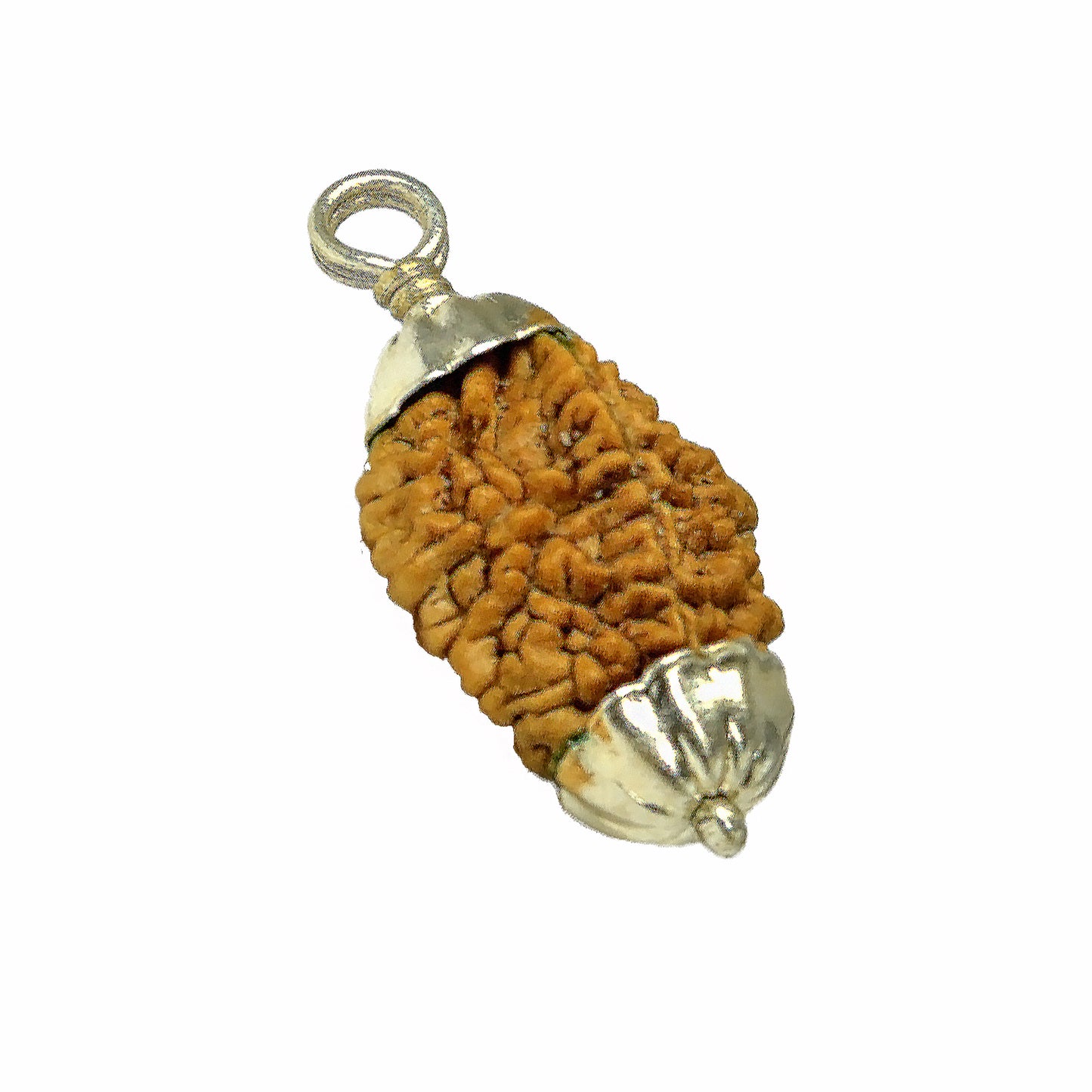 2 Mukhi Rudraksha Pendant (South Indian)