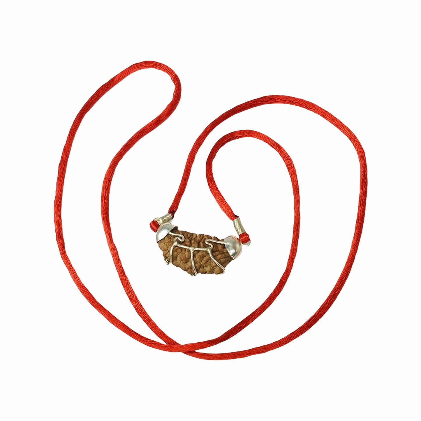 1 Mukhi Rudraksha (South Indian)