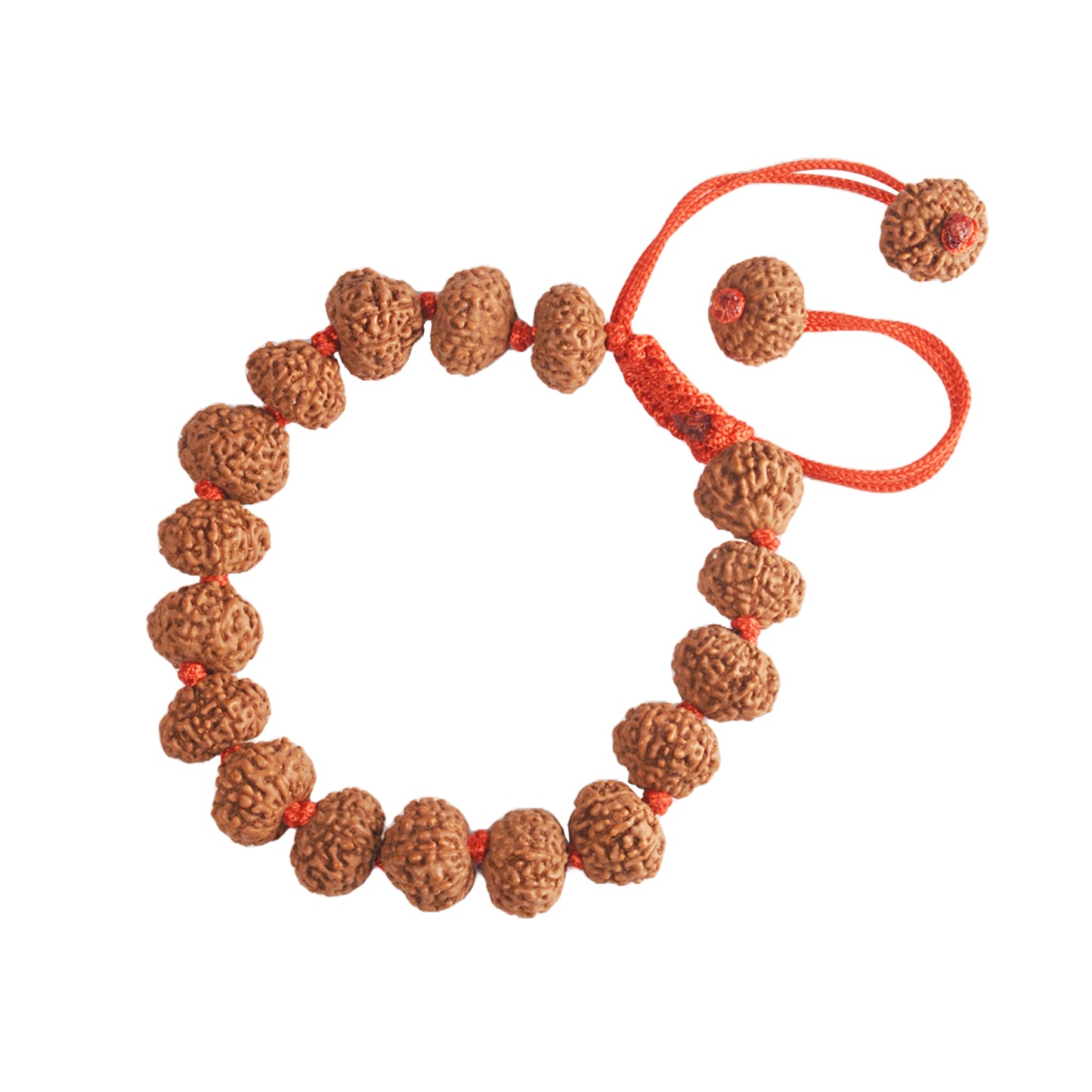 10 Mukhi Rudraksha Bracelet (Indonesian)
