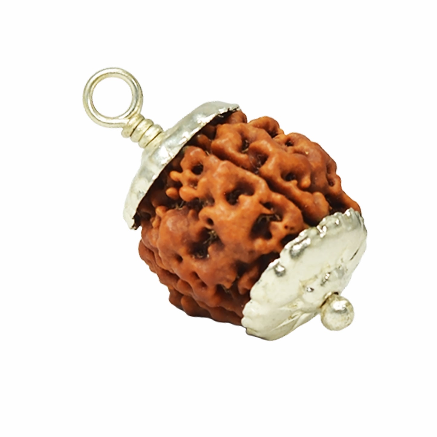 4 Mukhi Rudraksha Dana (Nepali)