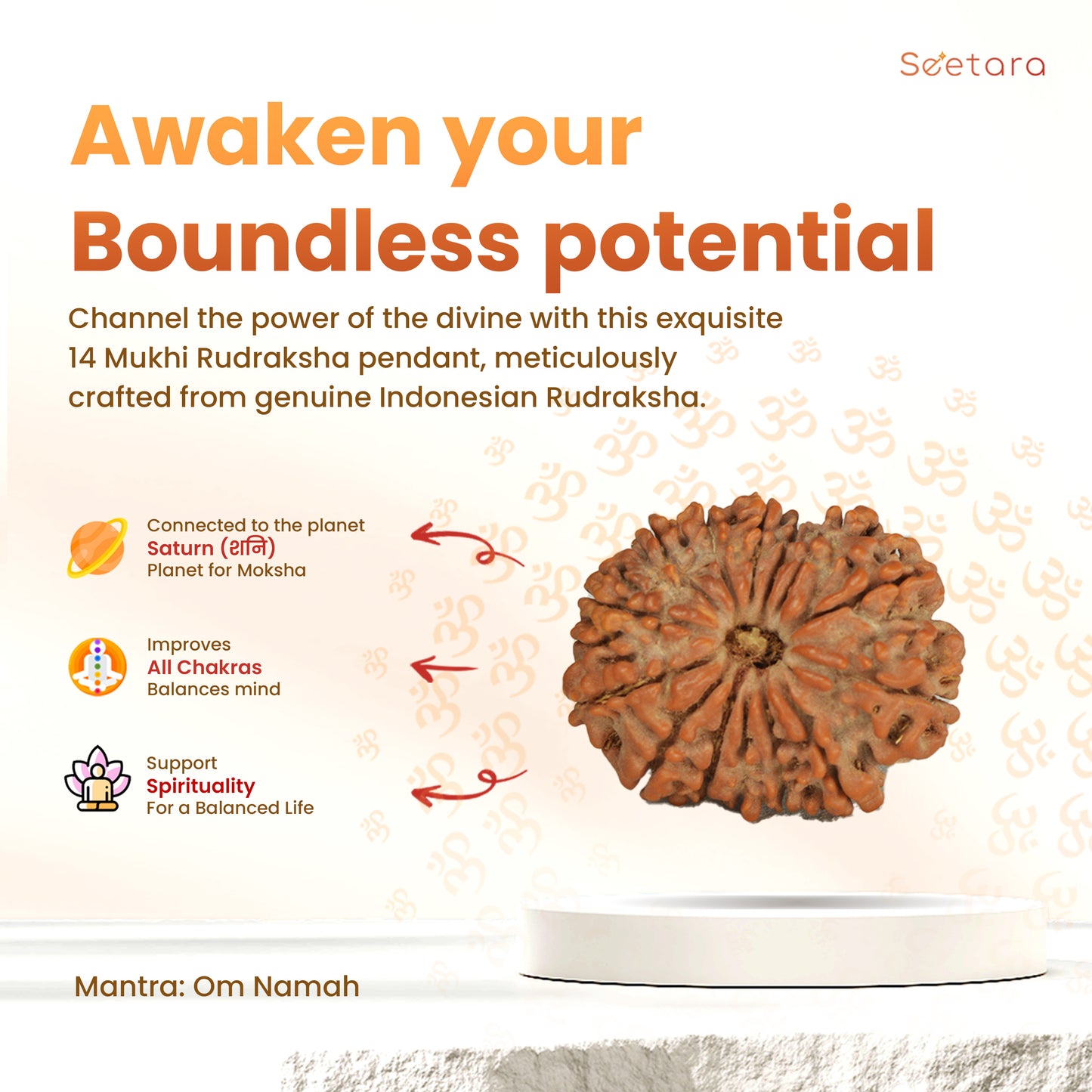 14 Mukhi Rudraksha (Nepali)
