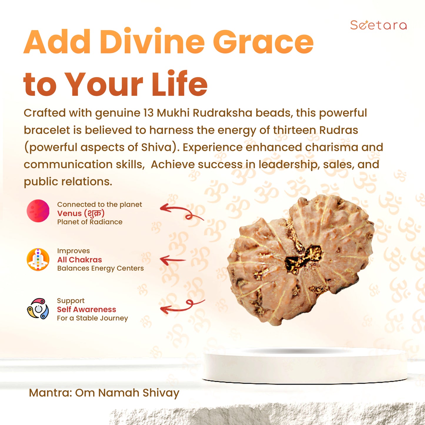 13 Mukhi Rudraksha Dana (Indonesian)