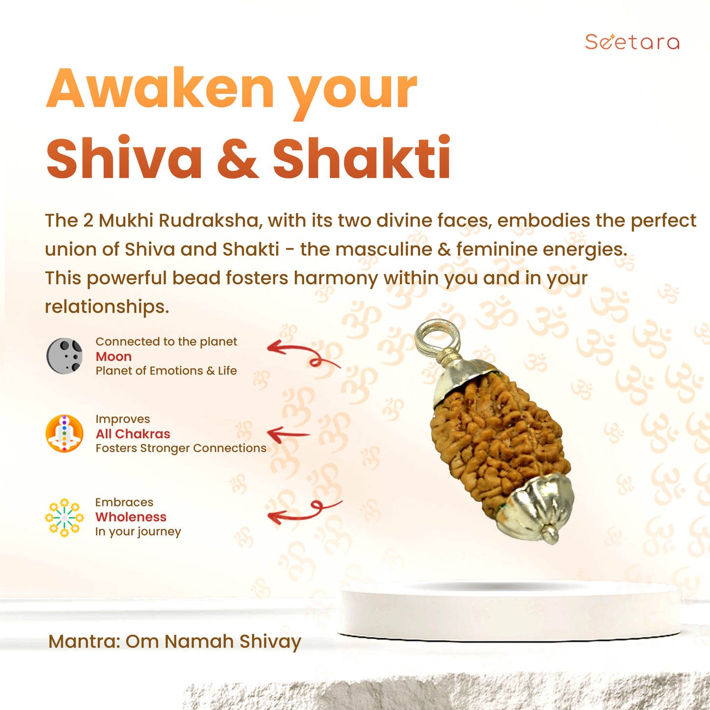 2 Mukhi Rudraksha Pendant (South Indian)