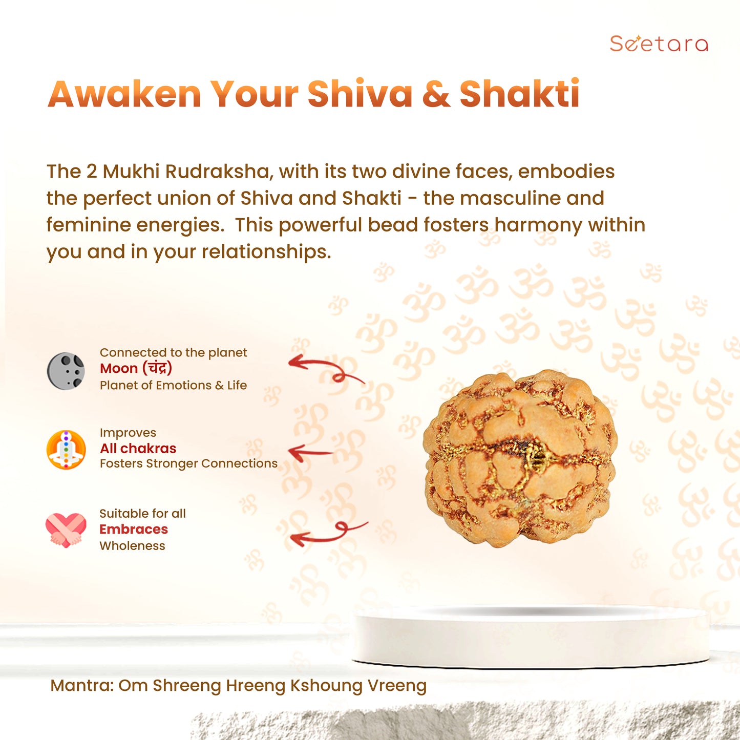2 Mukhi Rudraksha Dana (Nepali)