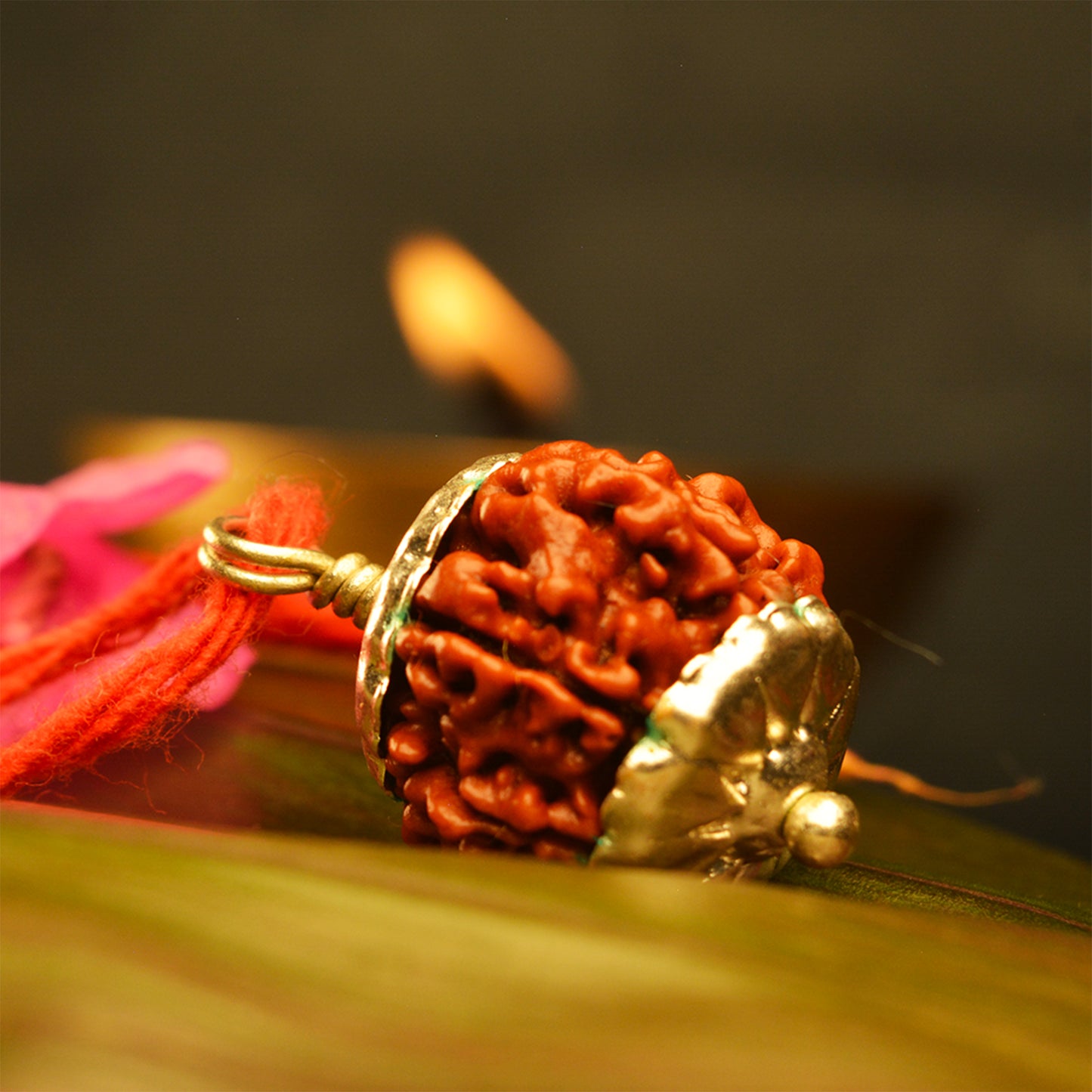 7 Mukhi Rudraksha Dana (Nepali)