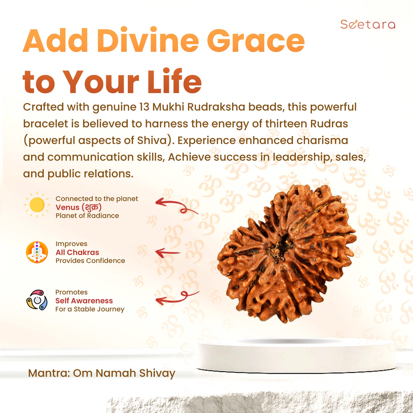 13 Mukhi Rudraksha Dana (Nepali)