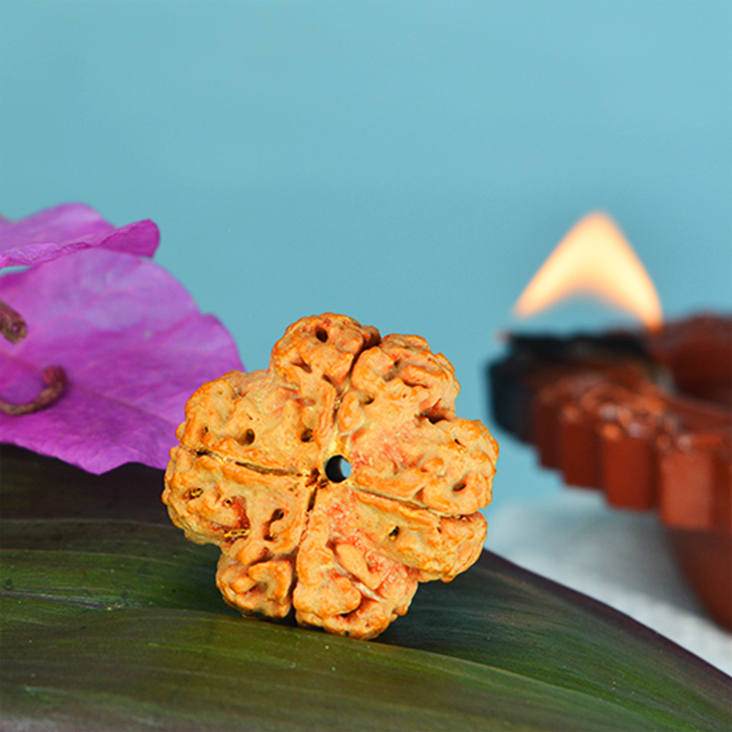 4 Mukhi Rudraksha Dana (Nepali)