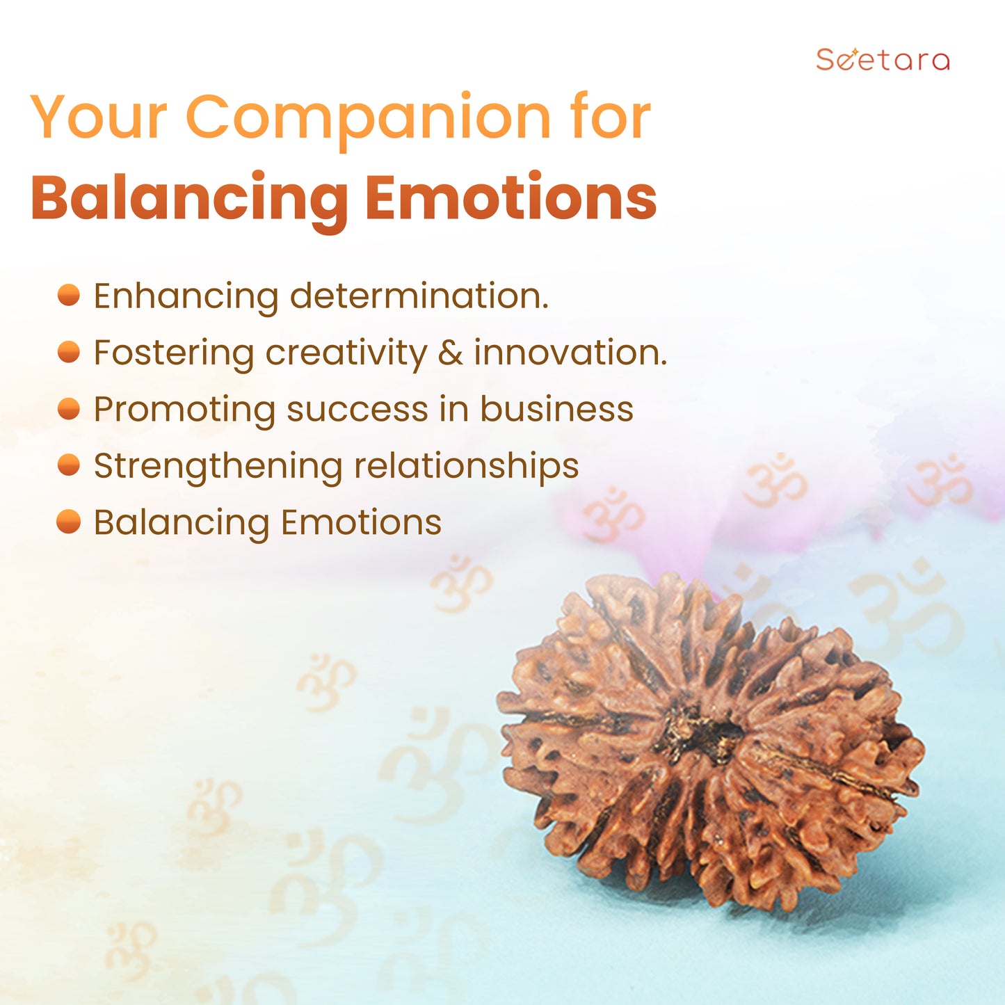 13 Mukhi Rudraksha Dana (Nepali)