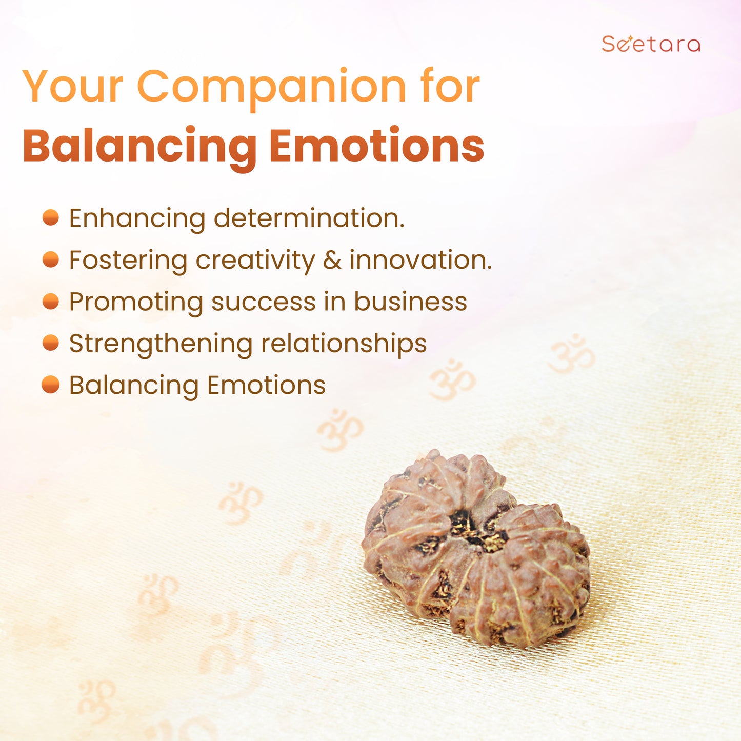 13 Mukhi Rudraksha Dana (Indonesian)