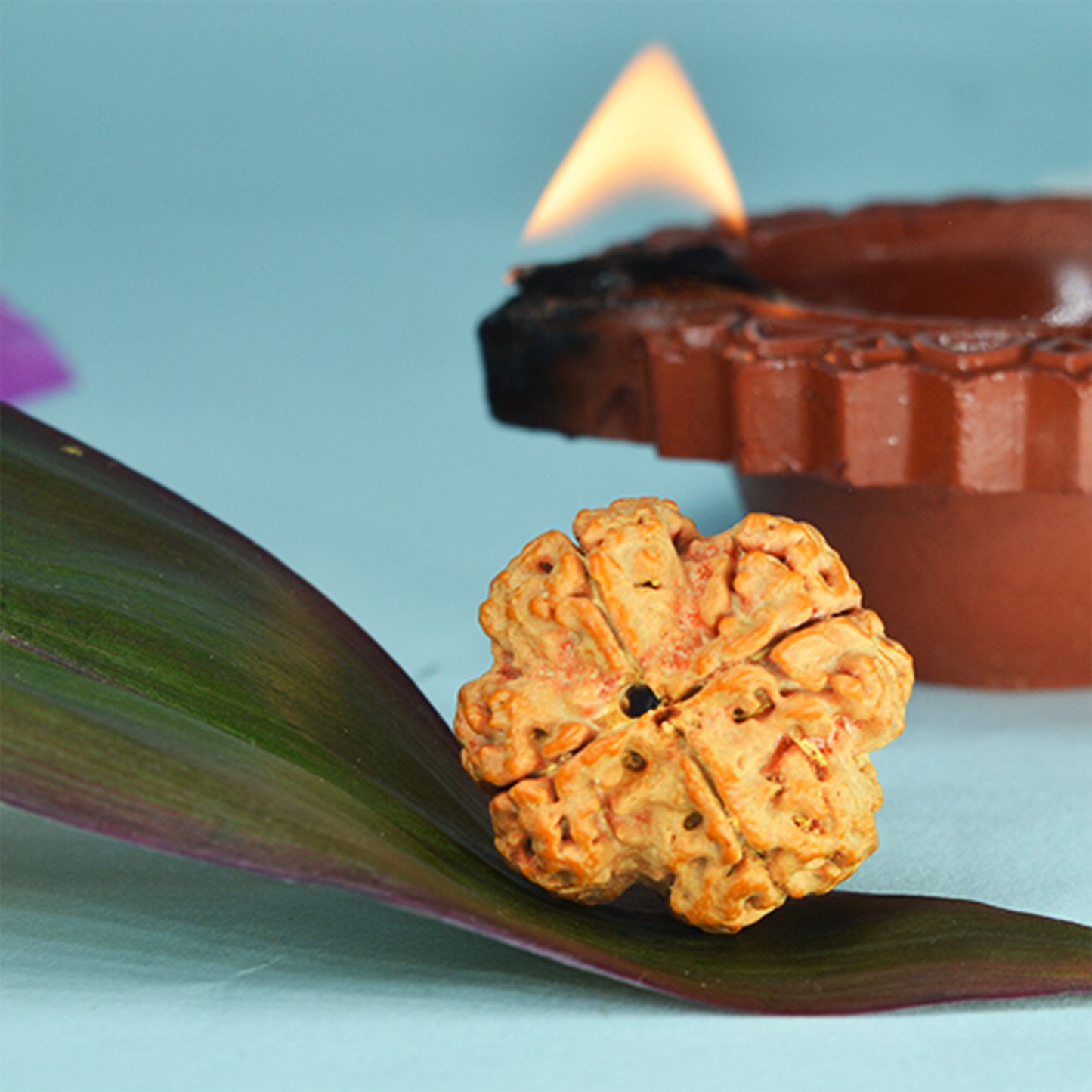 4 Mukhi Rudraksha Dana (Nepali)