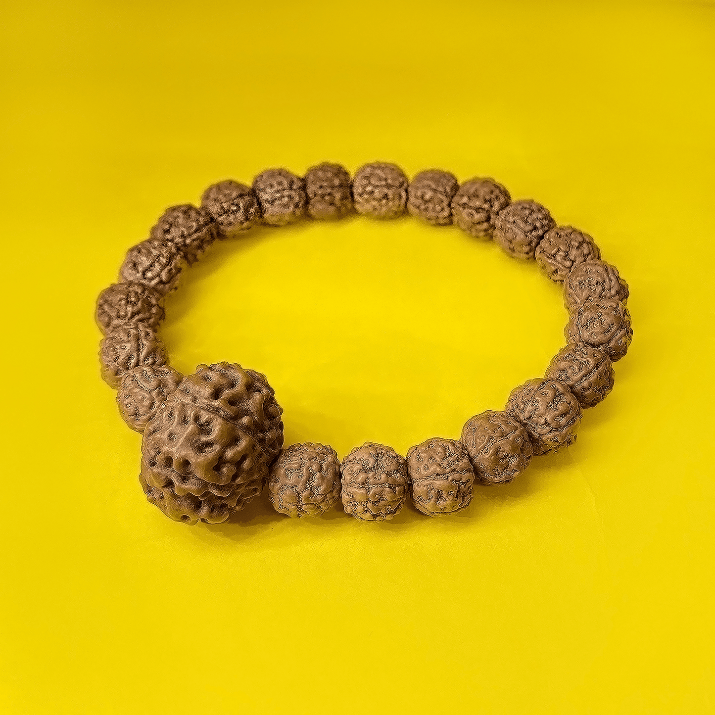 5 Mukhi Rudraksha Energy Bracelet with Single 7 Mukhi Bead - Seetara