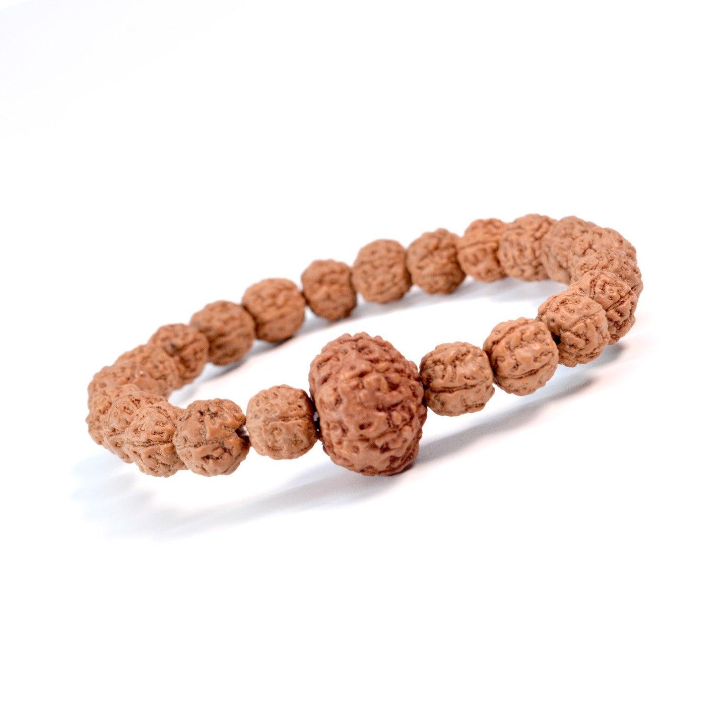 5 Mukhi Rudraksha Energy Bracelet with Single 7 Mukhi Bead - Seetara
