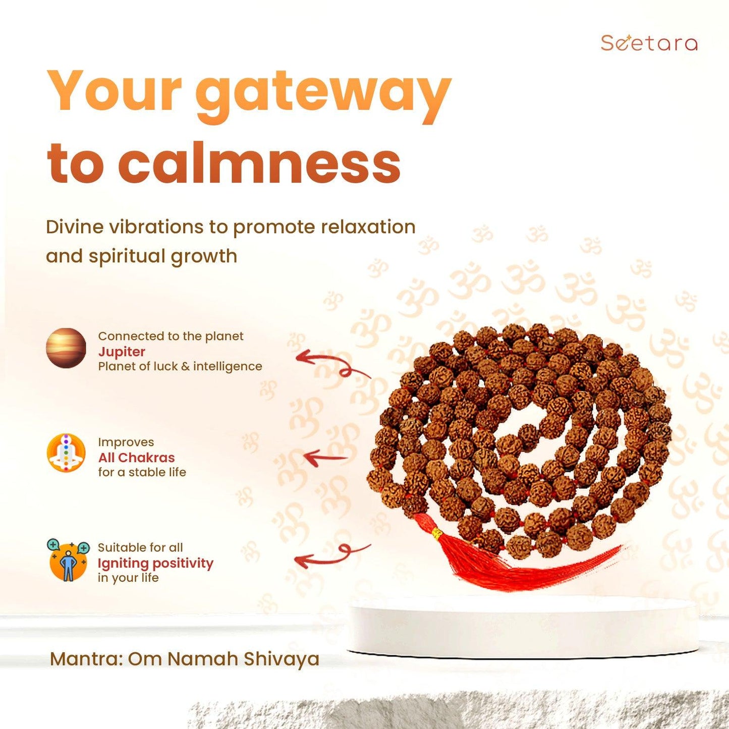 5 Mukhi Rudraksha Mala | 108 Beads - Seetara