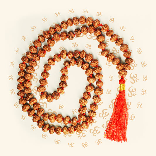 6 Mukhi Rudraksha Mala (Indonesian)