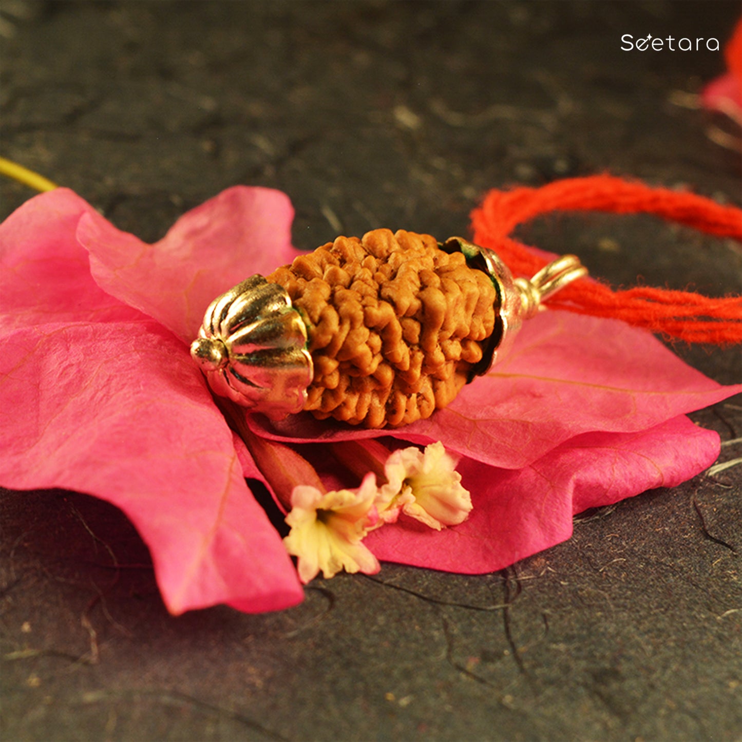 2 Mukhi Rudraksha Pendant (South Indian)