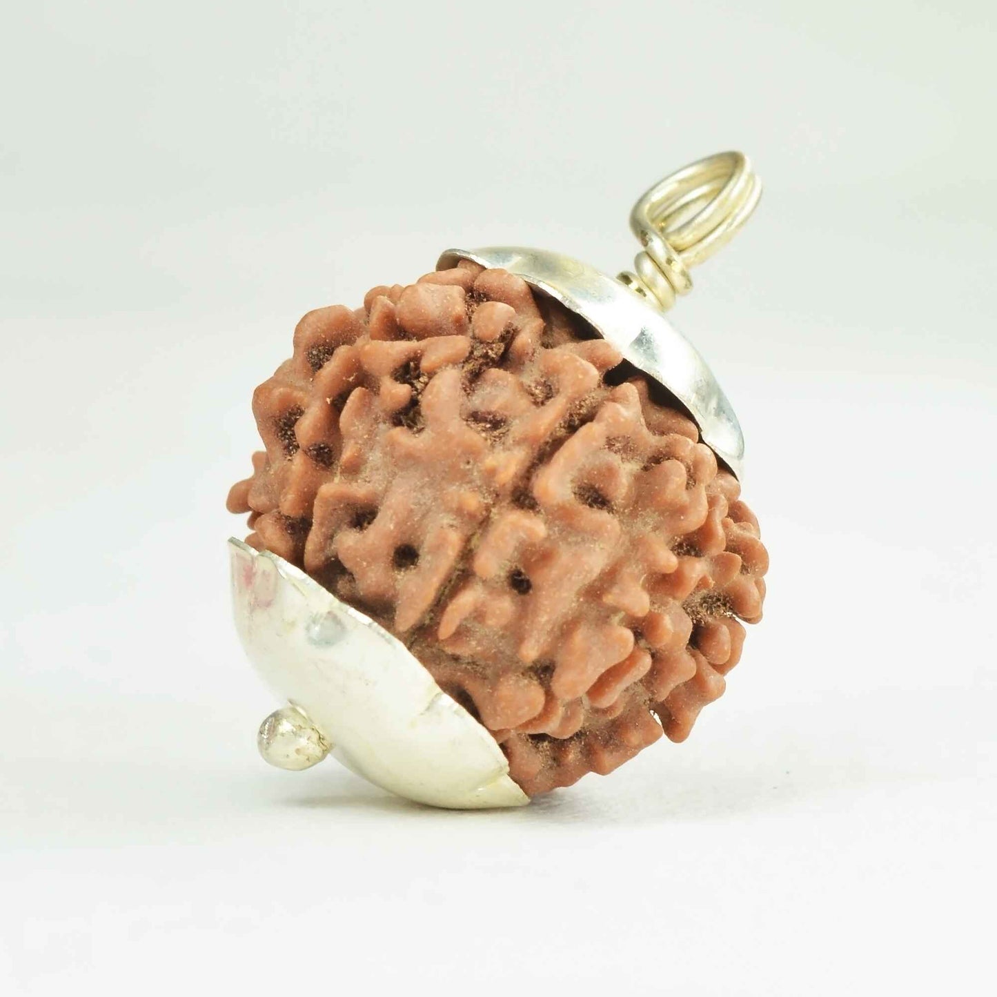 9 Mukhi Rudraksha Dana (Nepali)