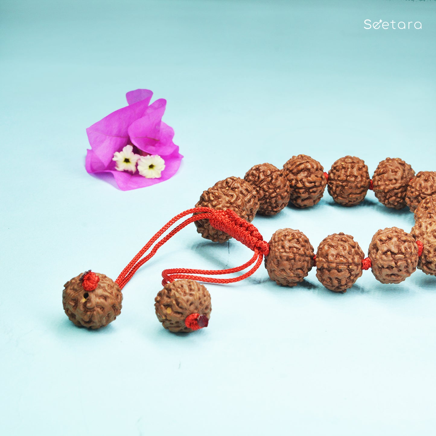 7 Mukhi Rudraksha Bracelet (Indonesian)