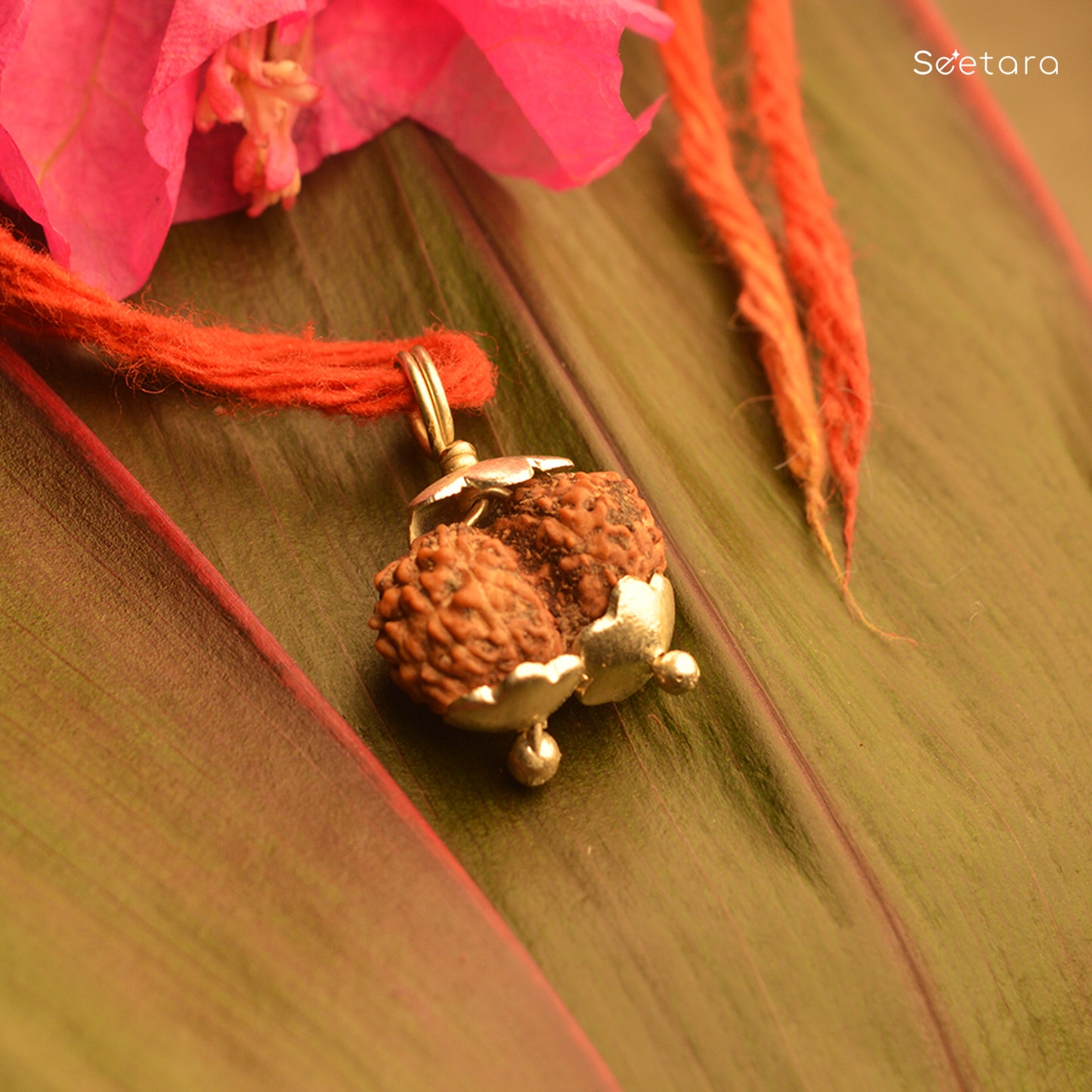 Gauri Shankar Rudraksha (Nepali)
