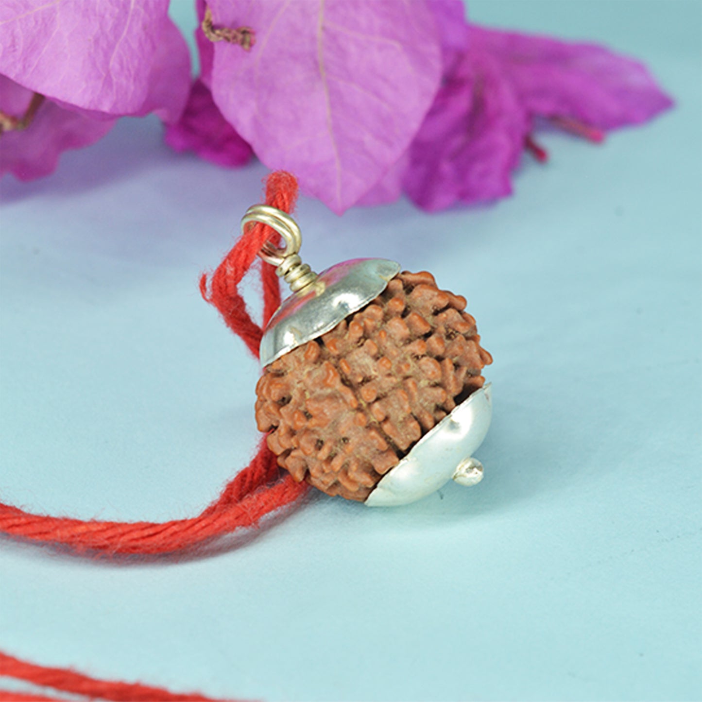 9 Mukhi Rudraksha Dana (Nepali)