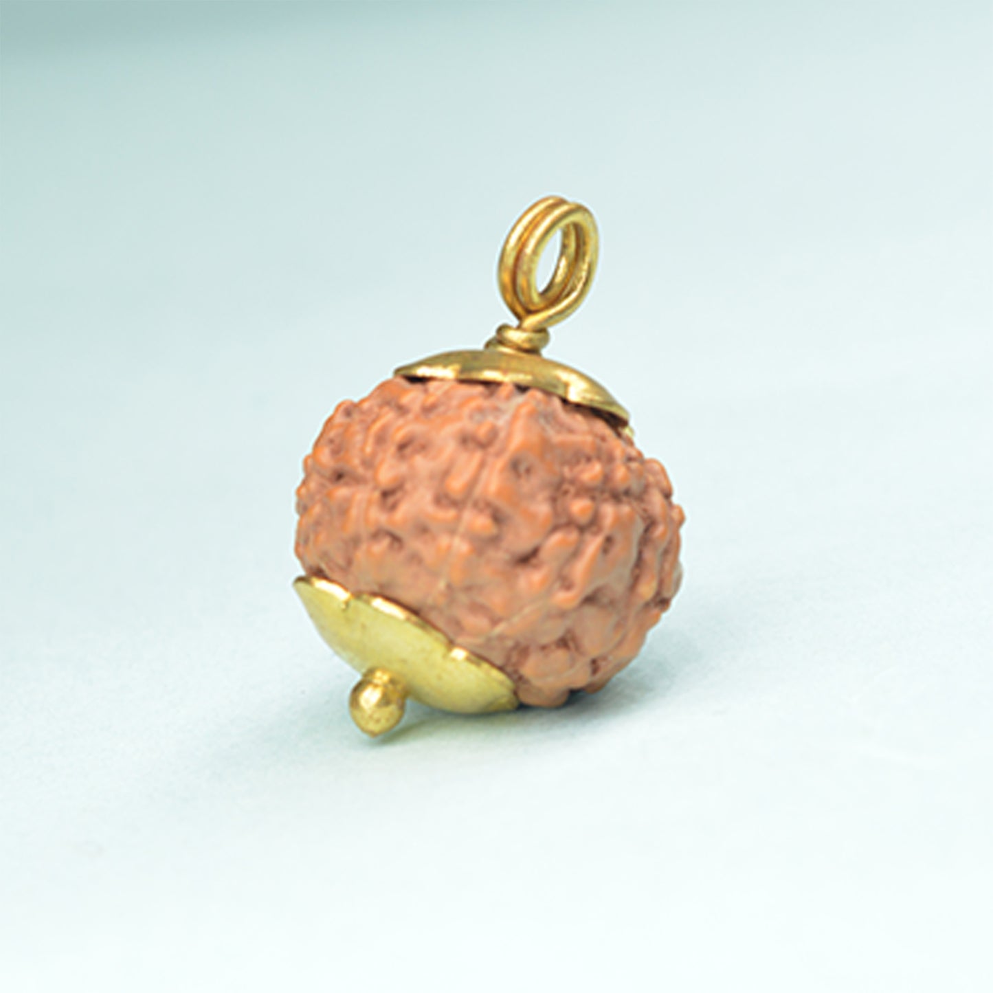 9 Mukhi Rudraksha (Indonesian)