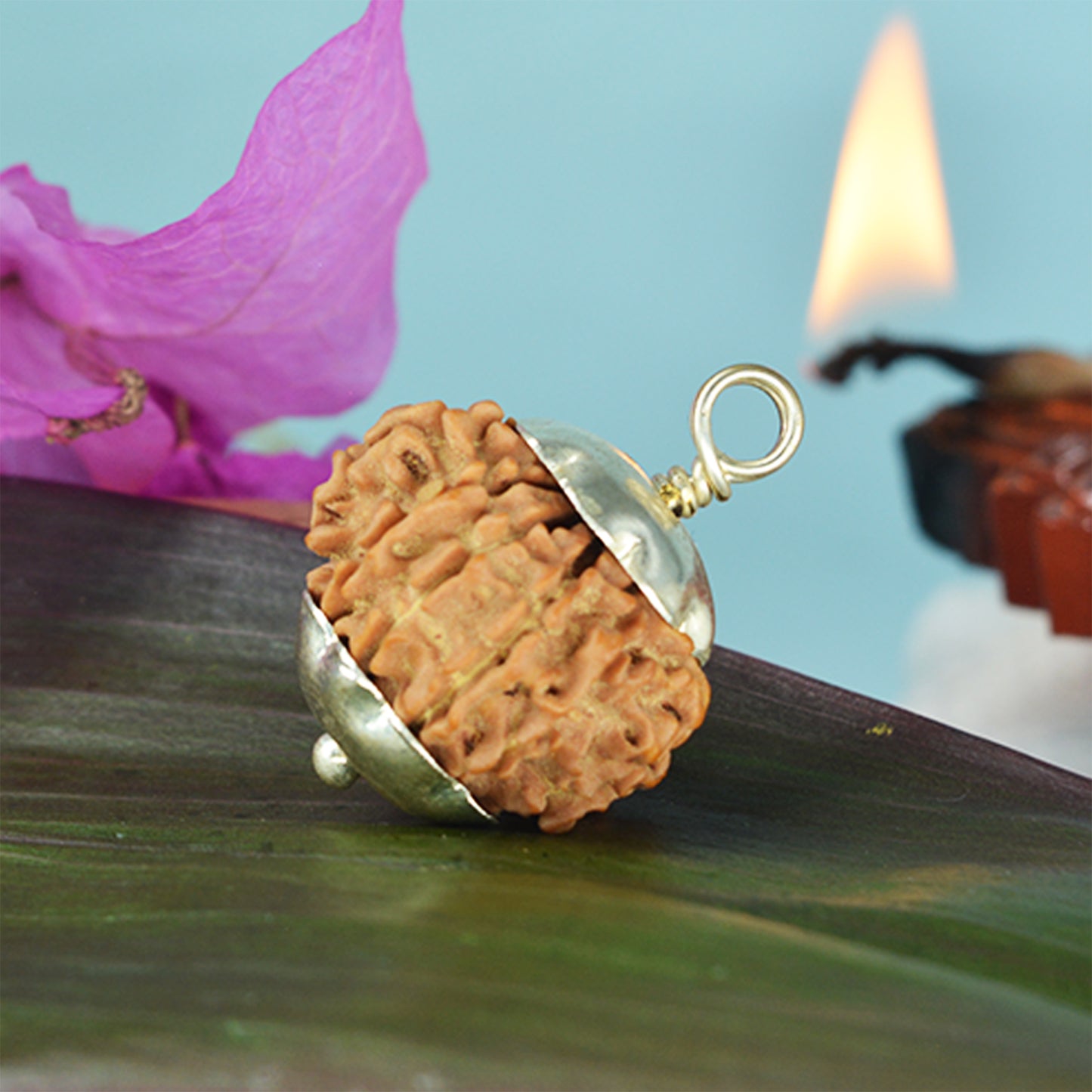 11 Mukhi Rudraksha Dana (Nepali)