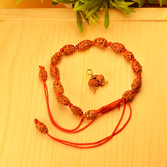 Marriage Harmony Bundle (2 Mukhi Rudraksha Bracelet and Gauri Shankar Rudraksha Pendant)