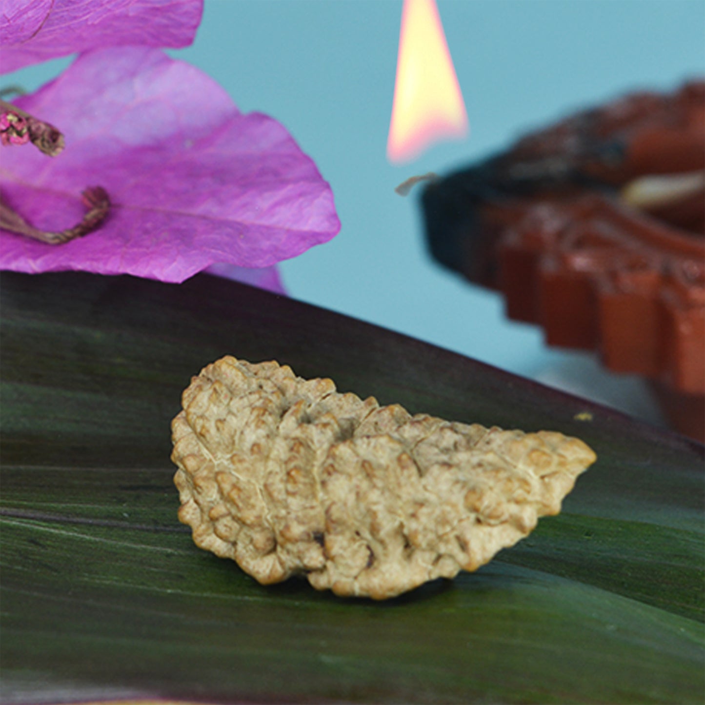 1 Mukhi Rudraksha (South Indian)