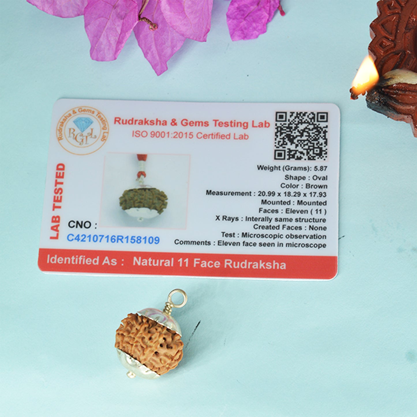 11 Mukhi Rudraksha Dana (Nepali)