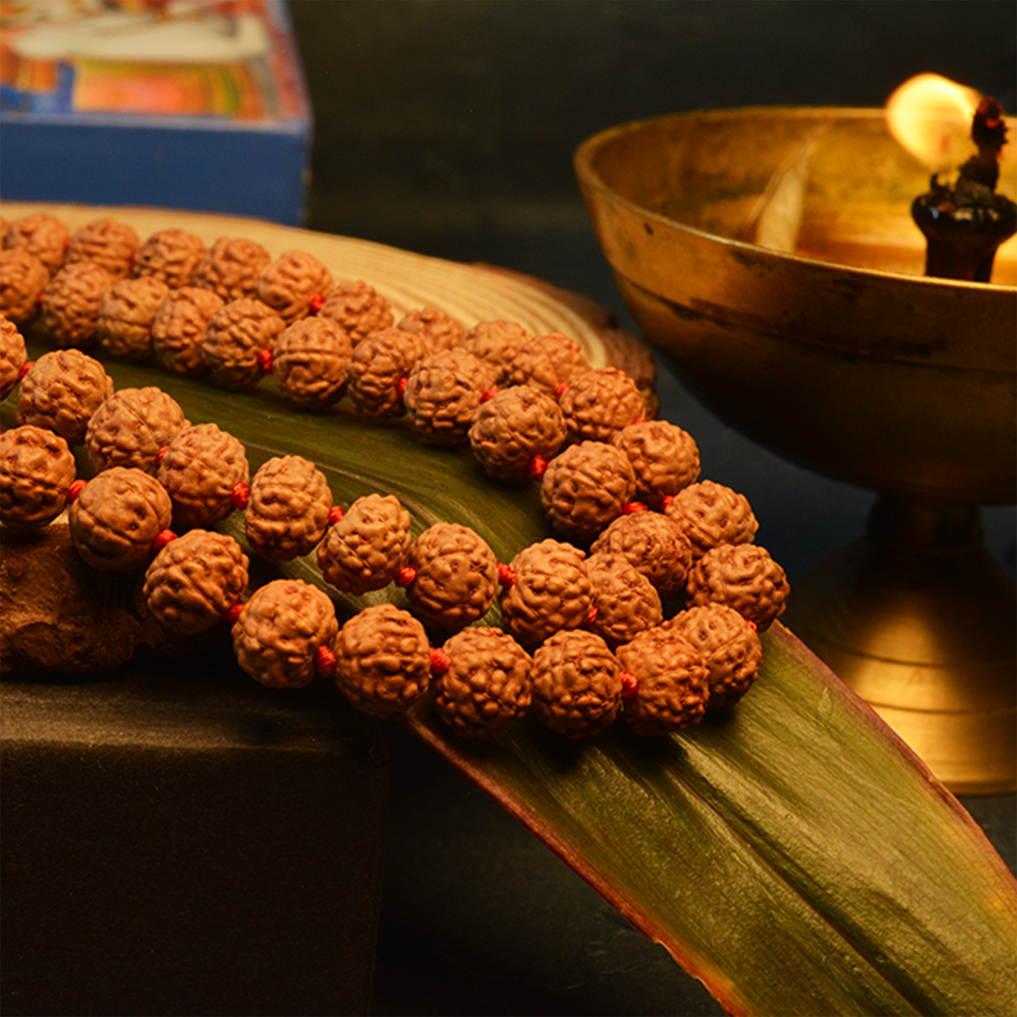 7 Mukhi Rudraksha Mala (Indonesian)
