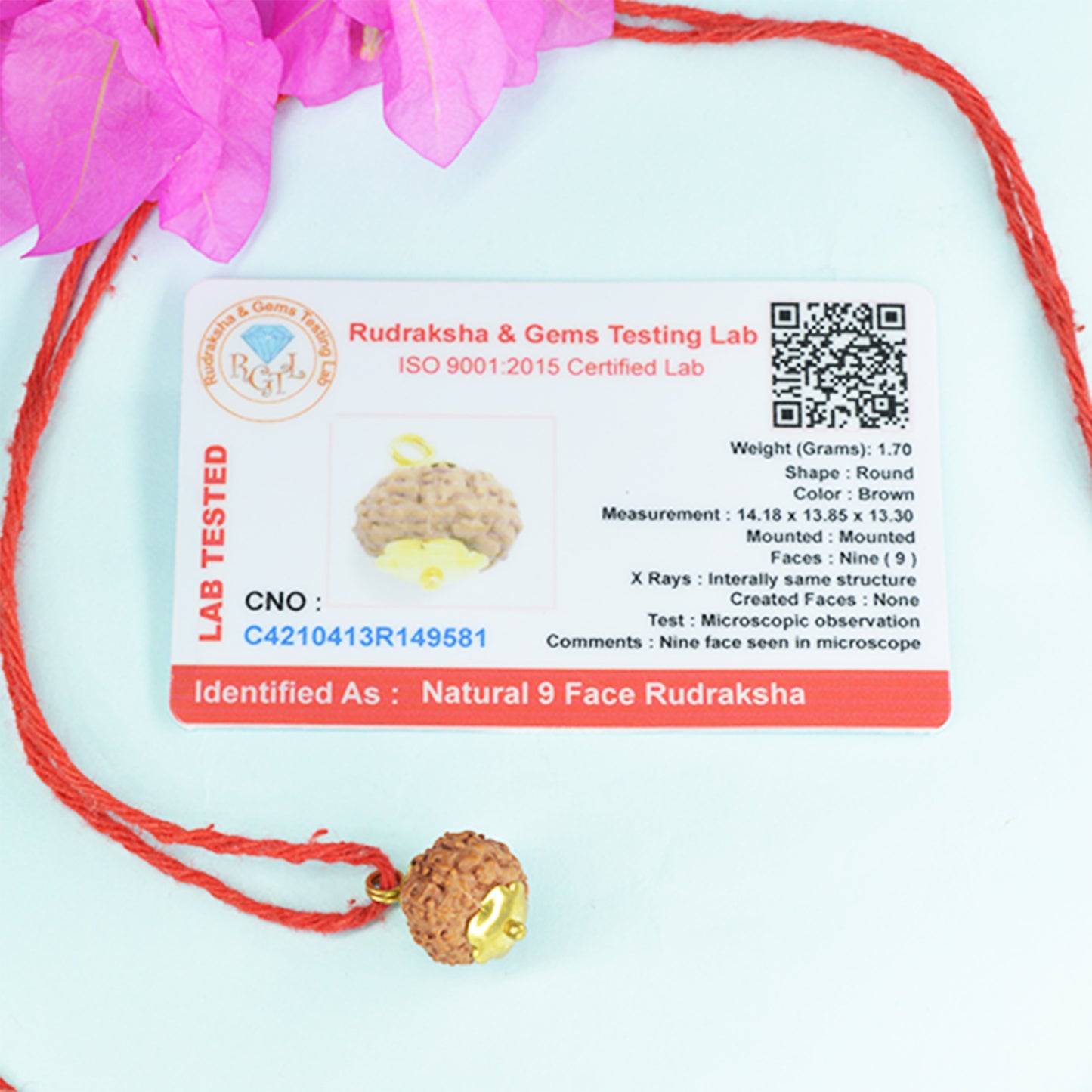 9 Mukhi Rudraksha (Indonesian)