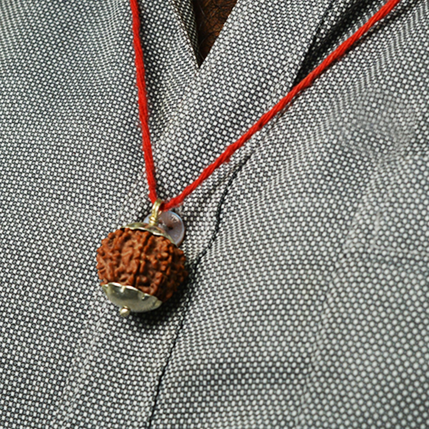 11 Mukhi Rudraksha Dana (Nepali)
