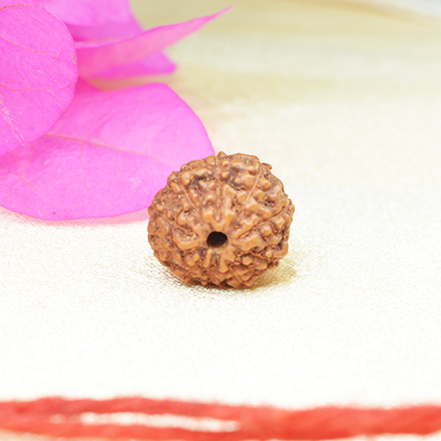 10 Mukhi Rudraksha (Indonesian)