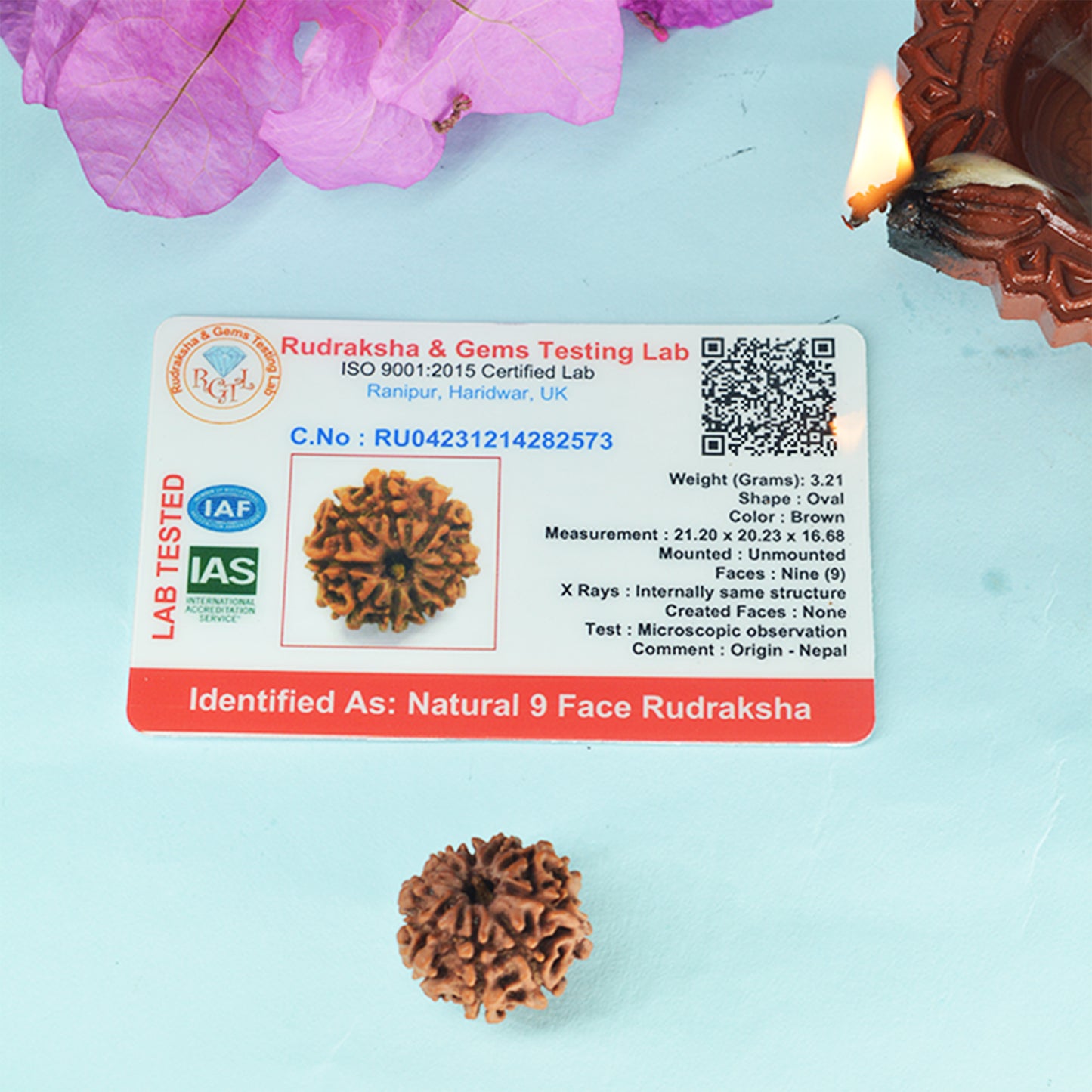 9 Mukhi Rudraksha Dana (Nepali)