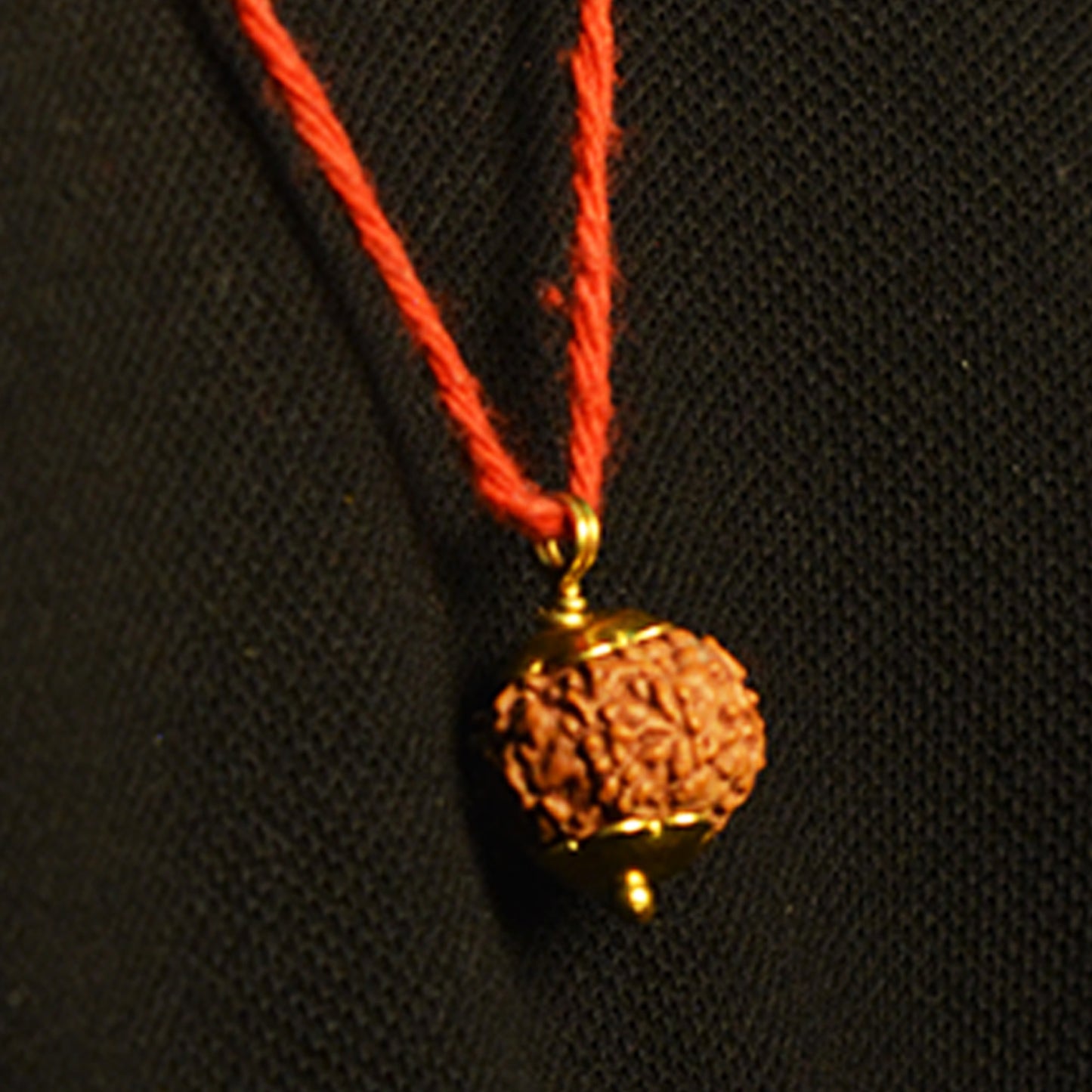 9 Mukhi Rudraksha (Indonesian)
