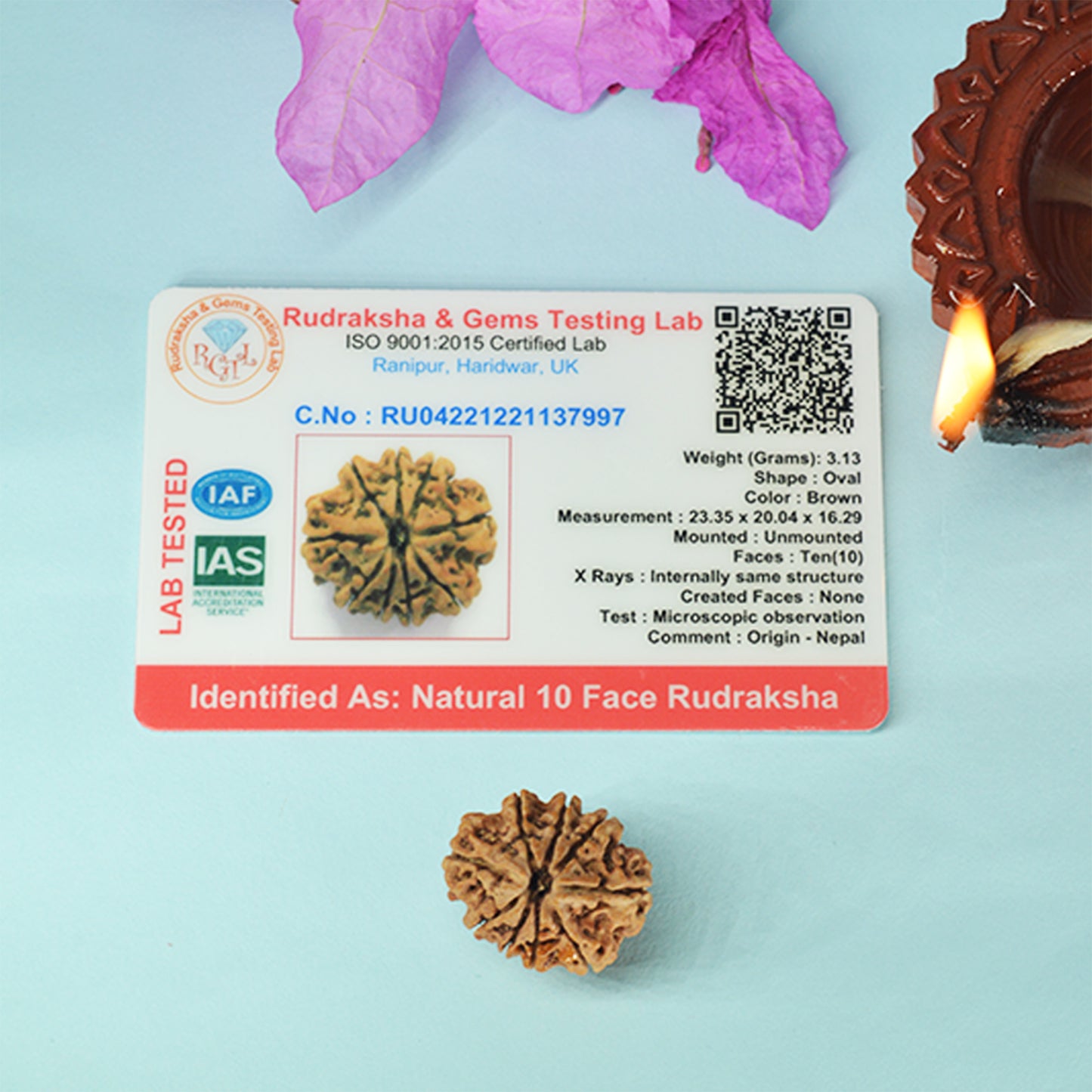 11 Mukhi Rudraksha Dana (Nepali)