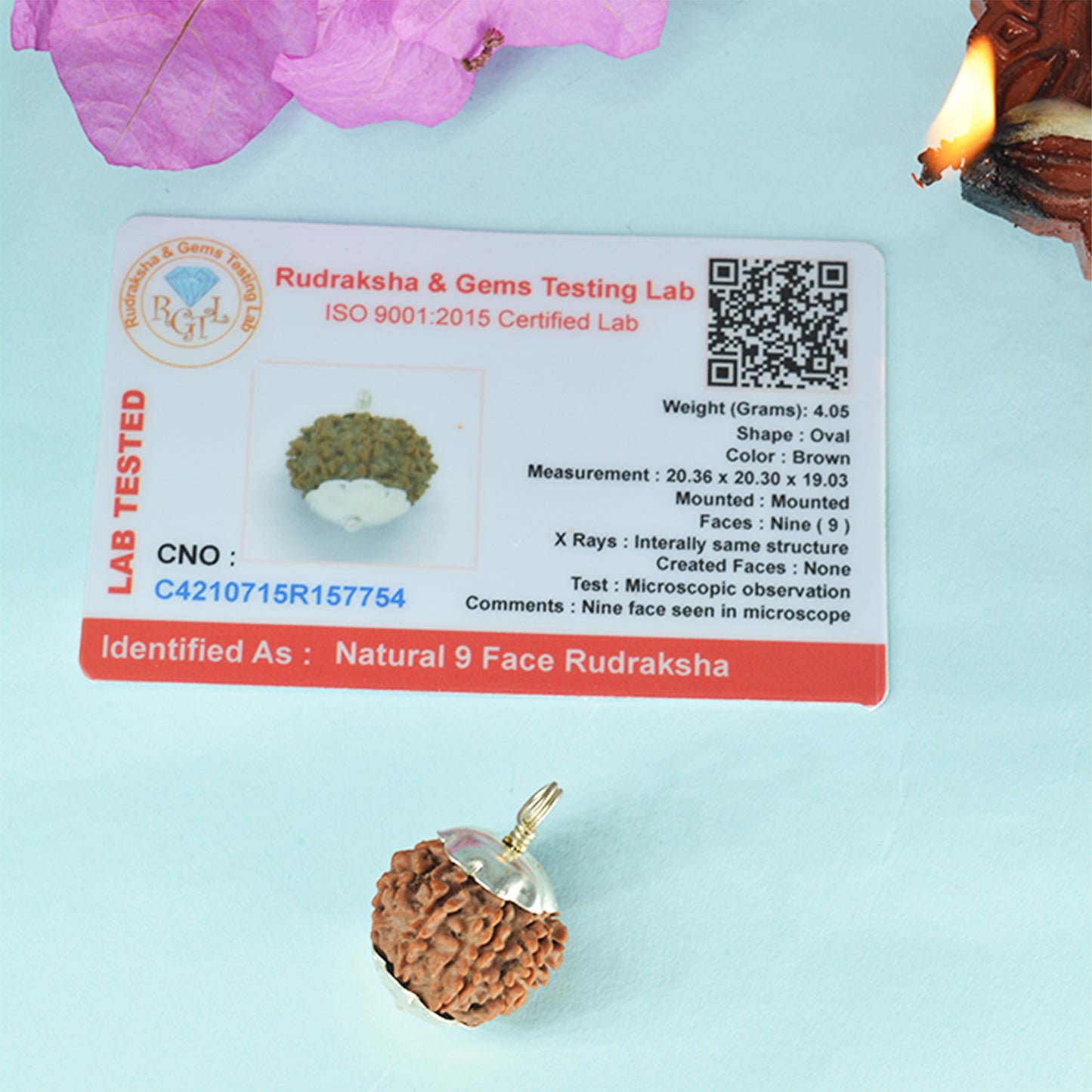 9 Mukhi Rudraksha Dana (Nepali)