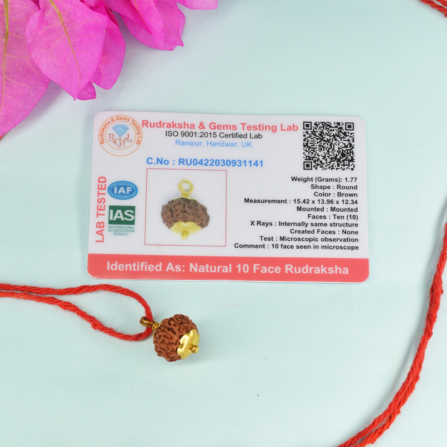10 Mukhi Rudraksha (Indonesian)