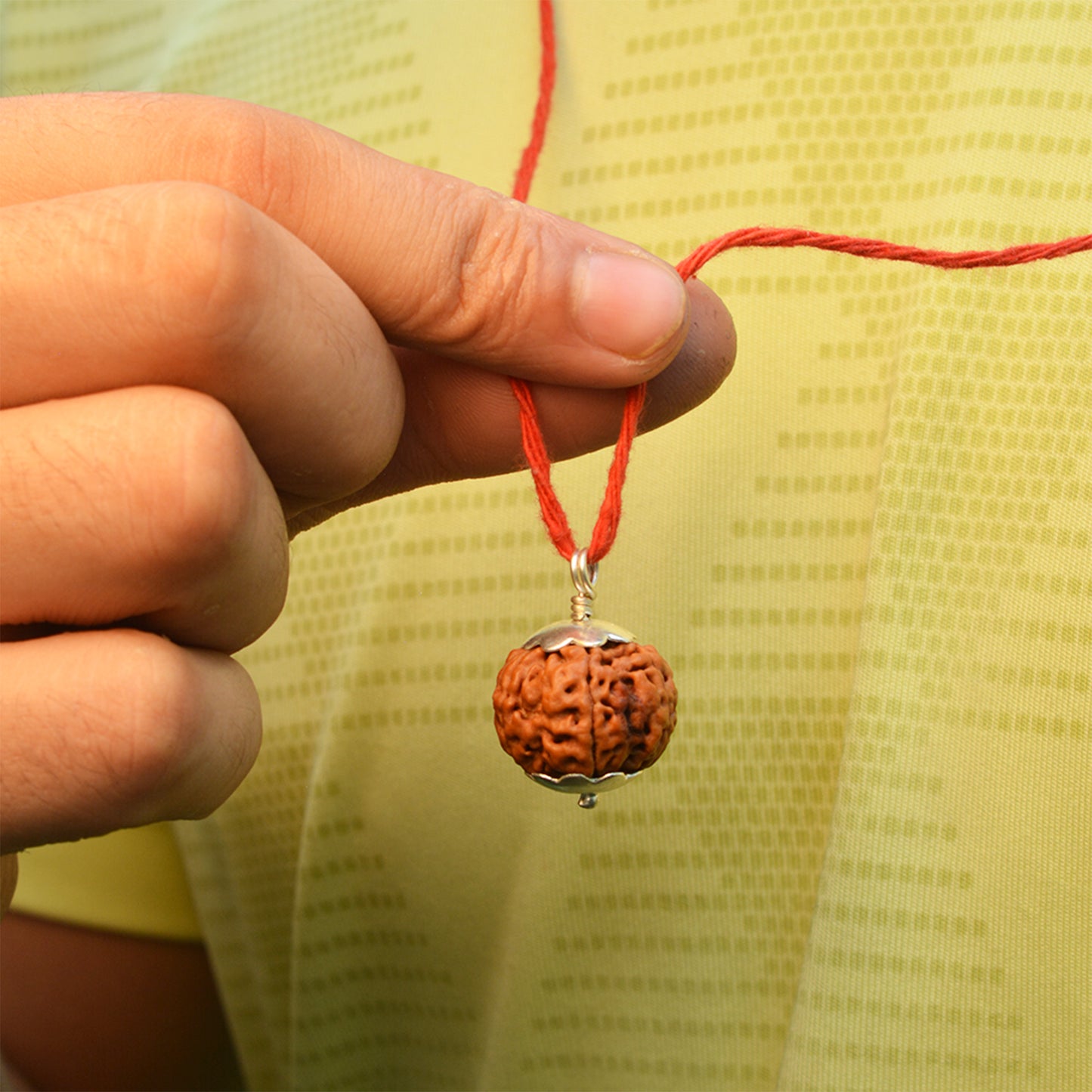 6 Mukhi Rudraksha Dana (Nepali)