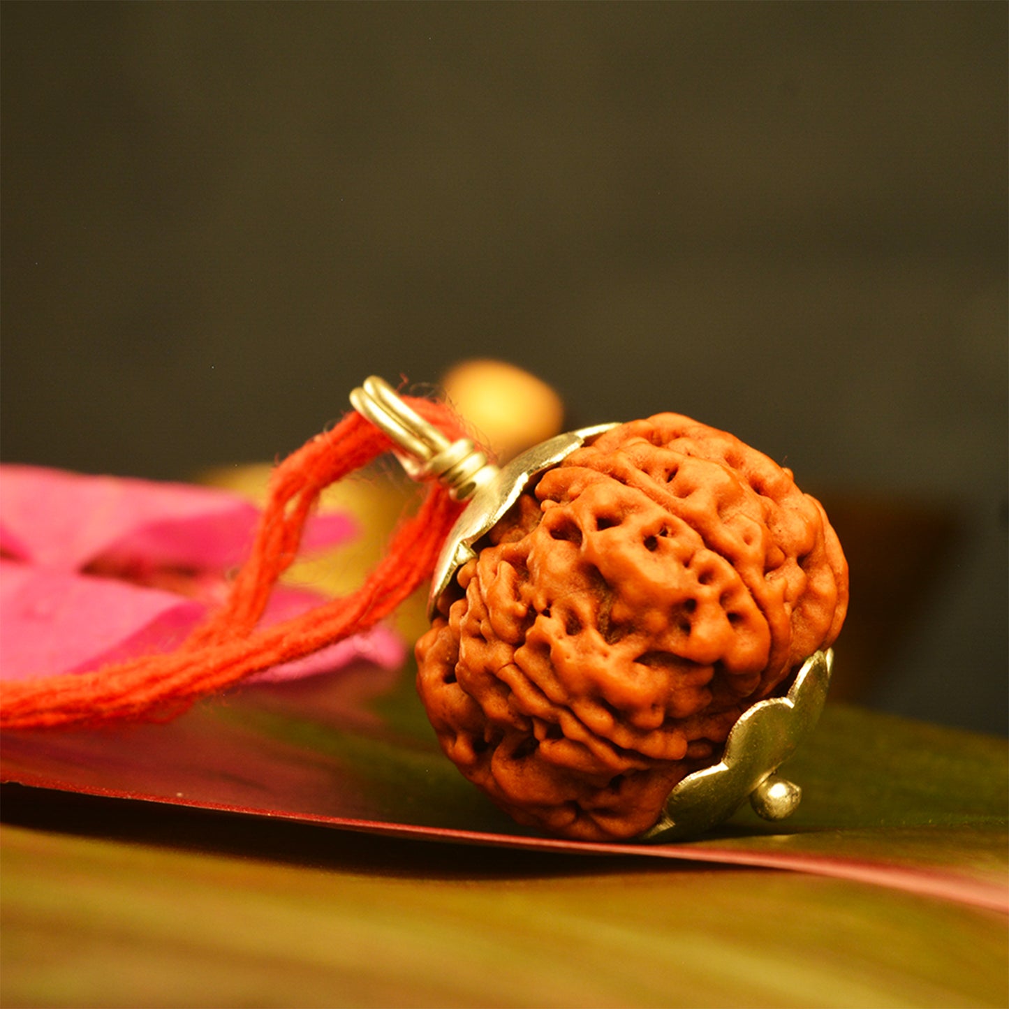 6 Mukhi Rudraksha Dana (Nepali)