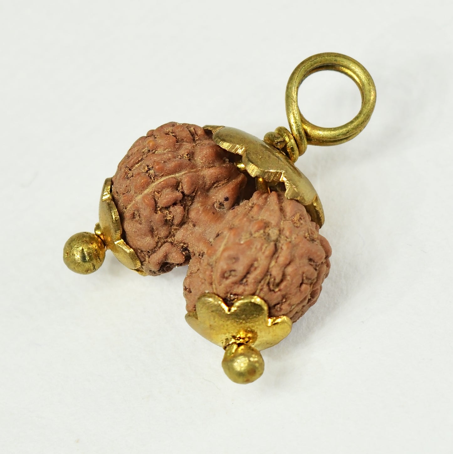 Gauri Shankar Rudraksha (Indonesian)