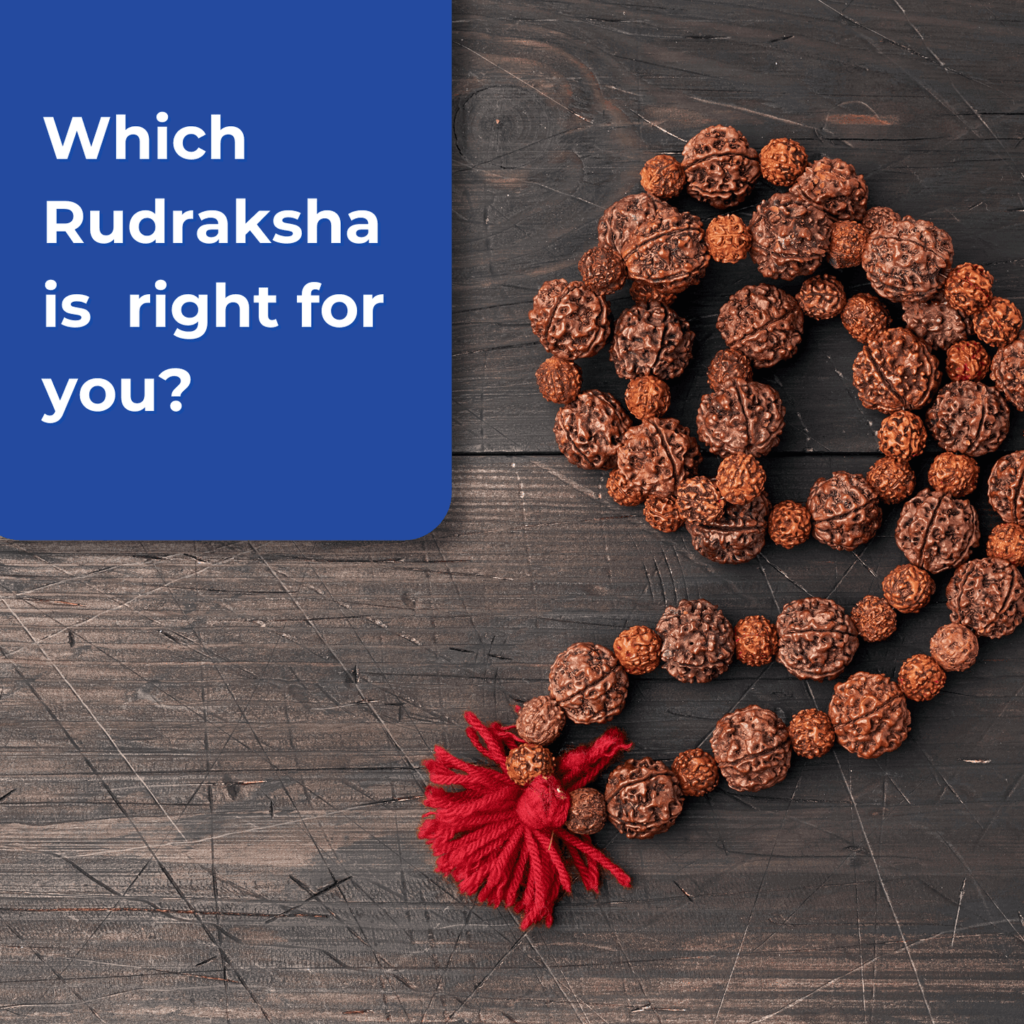 Free Rudraksha Recommendation - Seetara