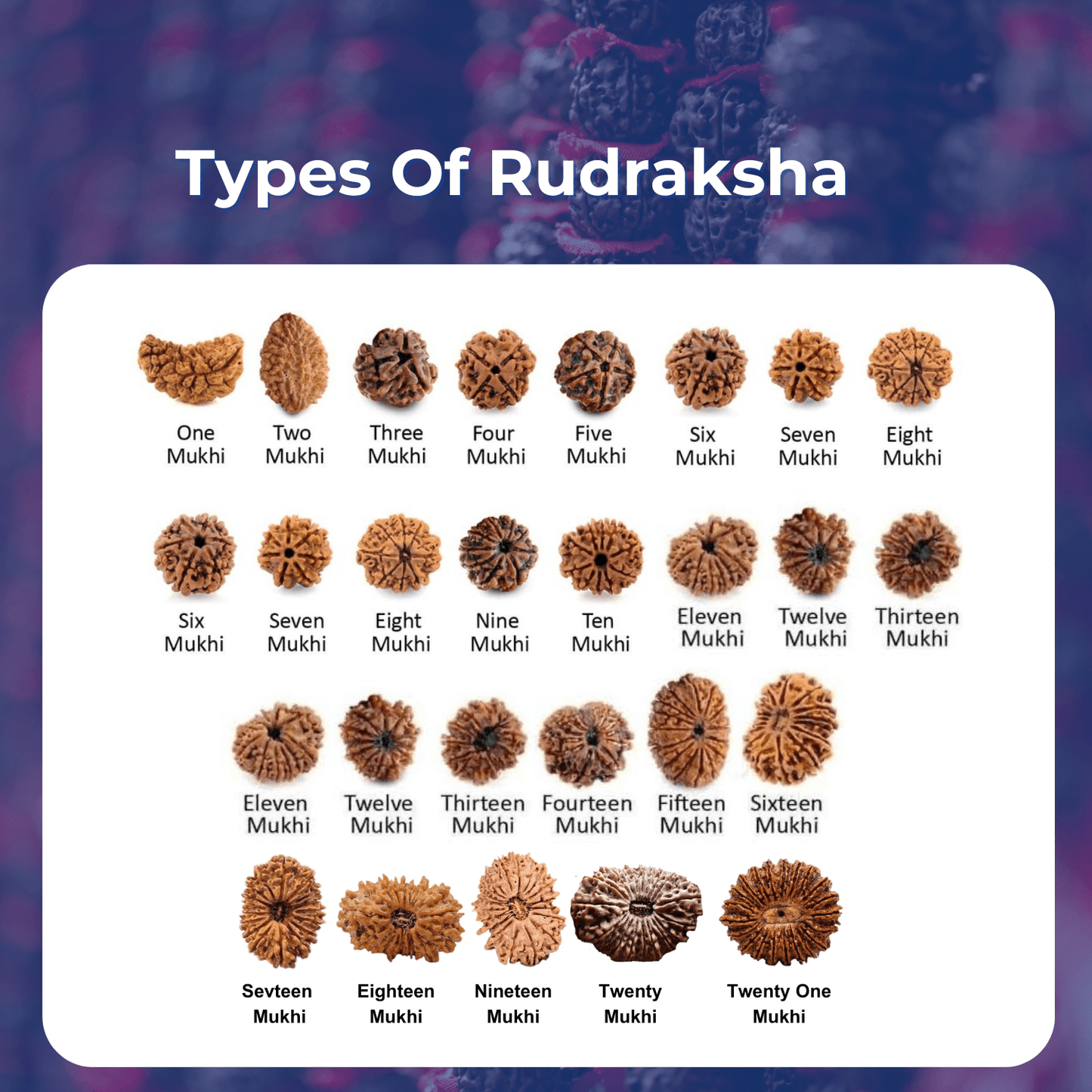 Free Rudraksha Recommendation - Seetara